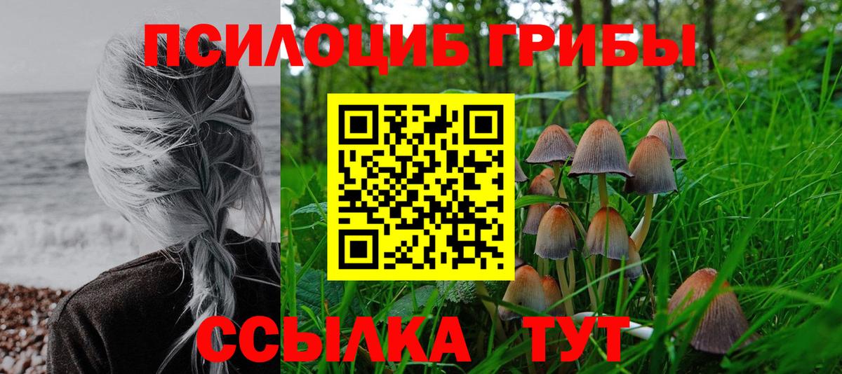 Псилоцибиновые грибы мухоморы Великий Устюг